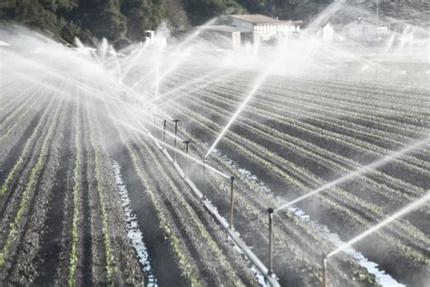 Overhead Irrigation Stock Photos Royalty Free Overhead Irrigation