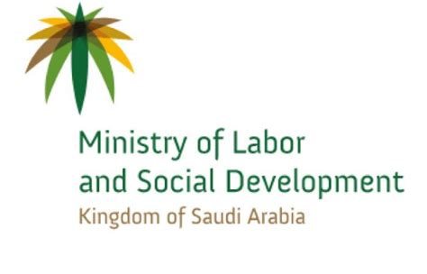 Saudi Arabia Labor Ministry We Receive An Annual 15 Mln Expatriate