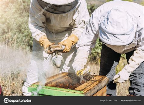 Beekeepers Working Collect Honey Stock Photo By ©santypan 166117954