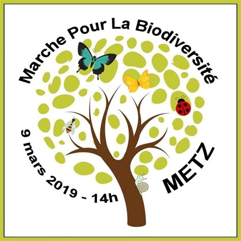 Association Oiseaux Nature Logo Marche Pour La Biodiversité