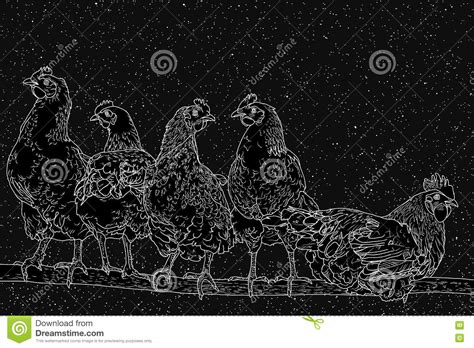 Chickens On Perch Stock Illustration Illustration Of Bird 76452139
