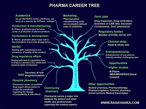 Career In Pharmaceutical Industry Pharma Job Types Qualifications