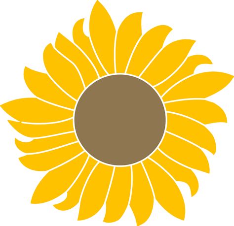 Common Sunflower Scalable Vector Graphics Portable Network