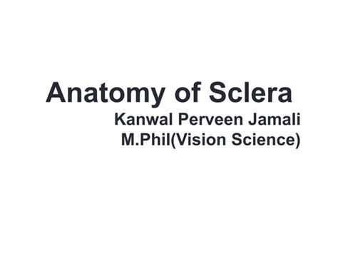 Anatomy Of Sclera