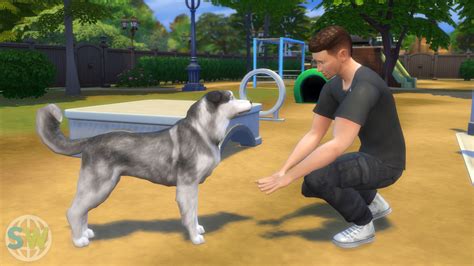 The Sims 4 Cani And Gatti Recensione Simsworld