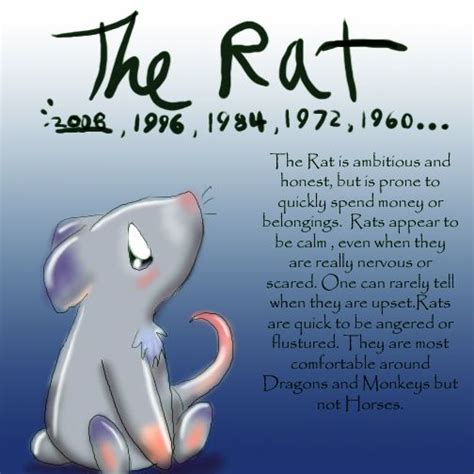17 Best Images About Chinese Rat On Pinterest Horoscope Signs Signs