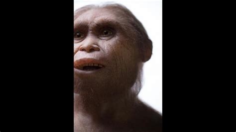 Modern Humans Interbred With Two More Archaic Humans Newsclick