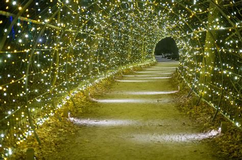 Our Meadow Tunnel In Its Nighttime Glory Come Explore Photo By Hank