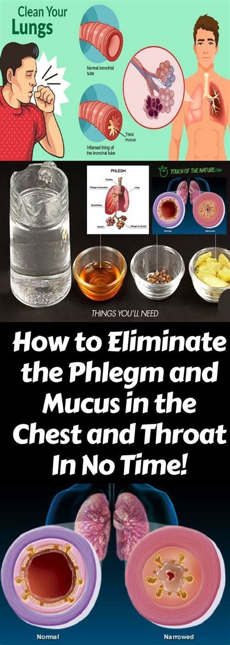 How To Eliminate The Phlegm And Mucus In The Chest And Throat In No Time