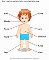 Gambar Body Parts Kids Worksheet Turtle Diary Label Answer Coloring ...