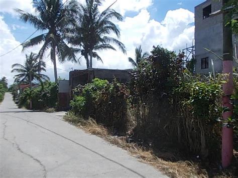 Sqm Clean Title Farm Lot In Silang Cavite Near Tagaytay City And My