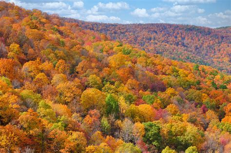 oklahoma fall foliage 2010 was the year with best fall col… flickr