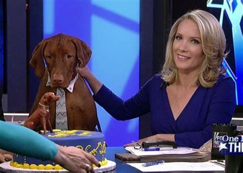 Lessons Learned From Dana Perino Thecollegeconservative Dana Perino