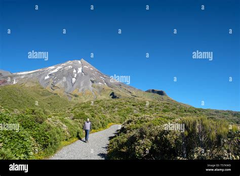 Man Hiking In Mount Taranaki Egmont National Park Near Stratford