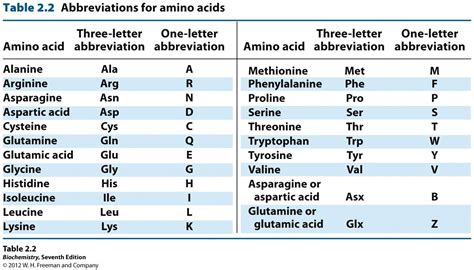 Amino Acids Names And Abbreviations