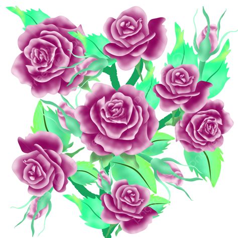 รูปดอกกุหลาบสีชมพูเข้ม Png ดอกกุหลาบ ดอกไม้ พืชภาพ Png และ Psd