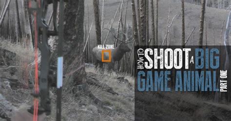 How To Shoot A Big Game Animal Part One Animal Games Elk Hunting