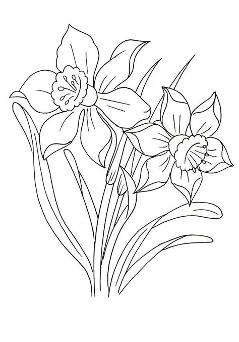 Https://tommynaija.com/coloring Page/5 And Under Coloring Pages
