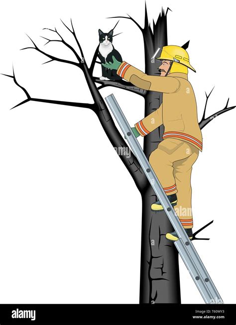 Firefighter Tree Rescue Cat Stock Vector Images Alamy