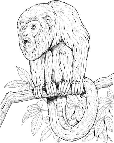 Realistic capuchin monkey coloring page for kids, teachers, and parents. Howler Monkey on a Tree coloring page | SuperColoring.com
