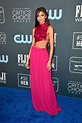Zendaya Coleman - Sexy Dress at 25th Annual Critics Choice Awards in ...