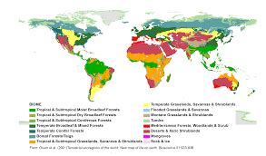 Biomes Environment Quiz Quizizz