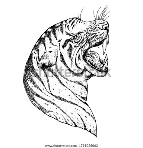 Tiger Face Sketch Vector Illustration Hand Stock Vector Royalty Free