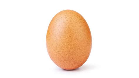 Meet The Most Famous Egg Daily Worthing