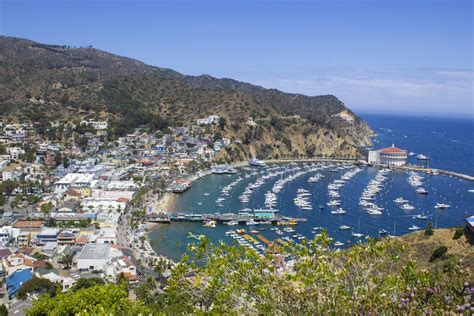 Catalina Island Company Reopens Hotels Tours Dining And Camping