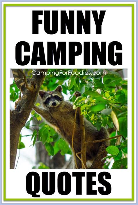 'camping is nature's way of promoting the motel business. INSPIRATIONAL AND FUNNY CAMPING QUOTES! in 2020 | Camping ...