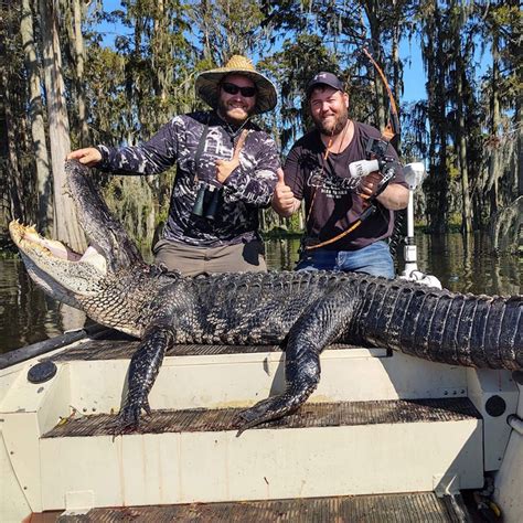 Countdown To Florida Alligator Hunting Season 2023