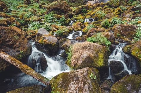 Best Waterfall Hikes In Umpqua National Forest The Luxury Lowdown