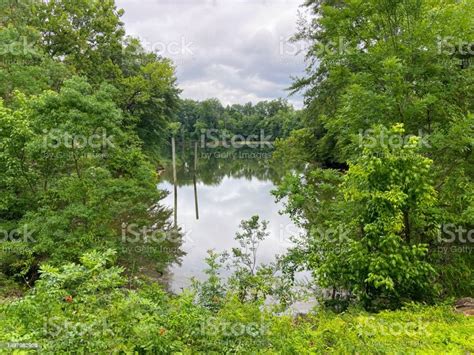 Black Warrior River In Tuscaloosa Alabama Stock Photo Download Image