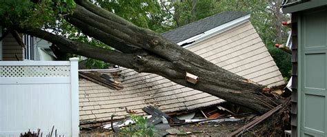 Fallen Tree Damage U Way Bright Homes