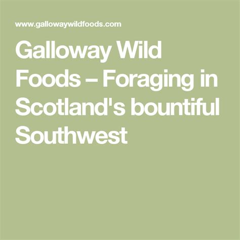 Galloway Wild Foods Foraging In Scotland S Bountiful Southwest Wild