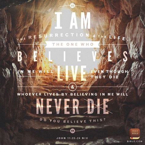 He Has Risen ️ ️ ️ John 1125 John 1125 26 Jesus Is Alive