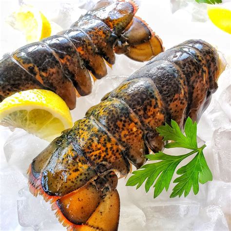 Buy Maine Cold Water Lobster Tails 810oz Buy Lobster Tails Online