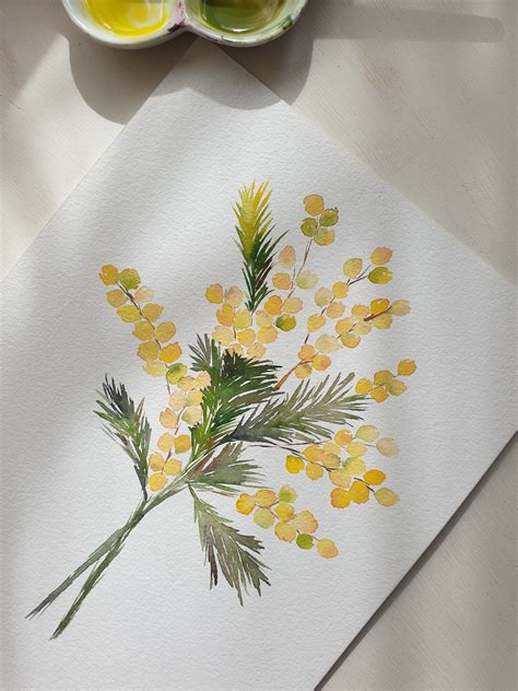 Mimosa Watercolor En 2021 Acuarela Floral Lápices De Acuarela