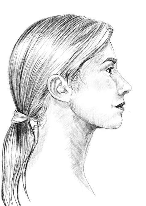 Side Profile Drawing Ideas How To Draw A Side Profile