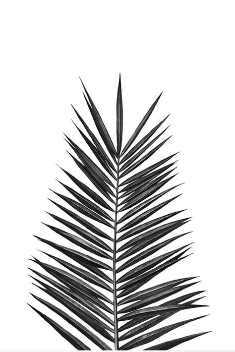 Palm Leaf Art Print By Nika