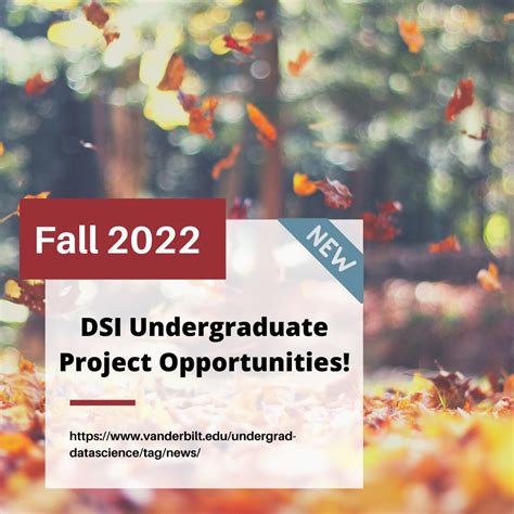 New Undergraduate Dsi Project Opportunities Fall 2022 Apply Soon