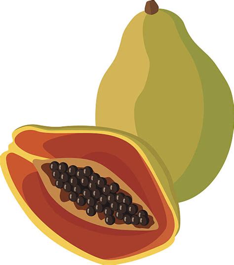 Royalty Free Papaya Clip Art Vector Images And Illustrations Istock
