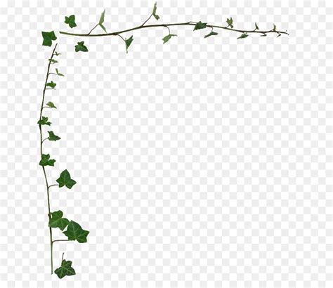 Vine Border Png 10 Free Cliparts Download Images On Clipground 2024