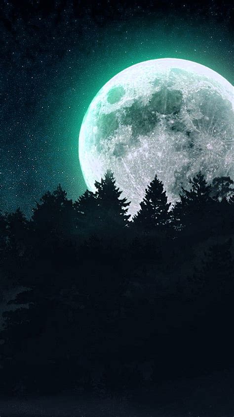 Moon Black Dark Forest Night Hd Phone Wallpaper Peakpx
