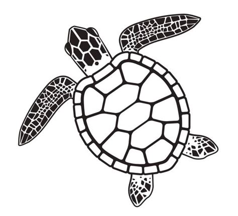 Sea Turtle Shell Illustrations Royalty Free Vector Graphics And Clip Art