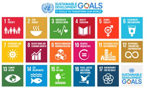 It brings the mdg experience to the transition process from mdgs to sdgs. UN Sustainable Development Goals - SDGs - ECOHZ