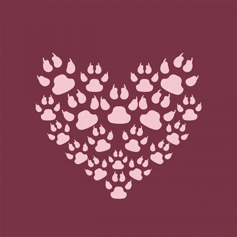 Paw Print Heart Background Free Stock Photo Public Domain Pictures