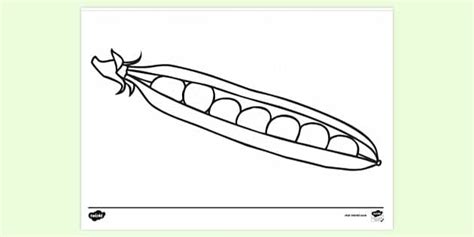 Peas Colouring Sheet Printable Primary Resources Twinkl