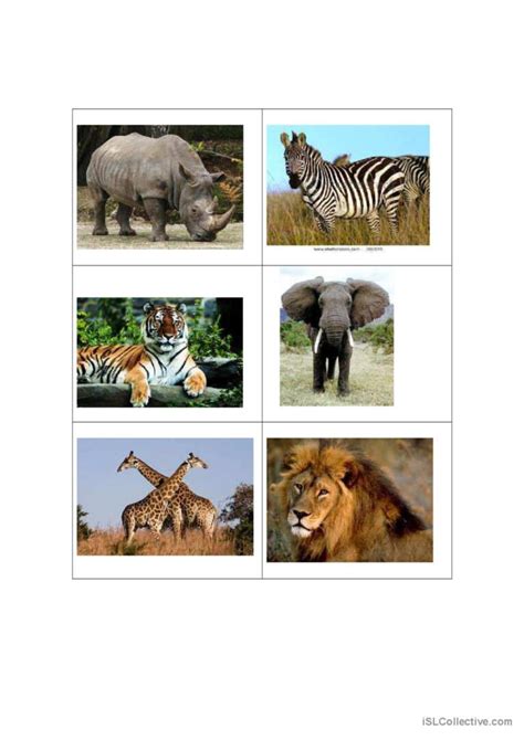 Wild Animals Memory Game Cards Fo English Esl Worksheets Pdf And Doc