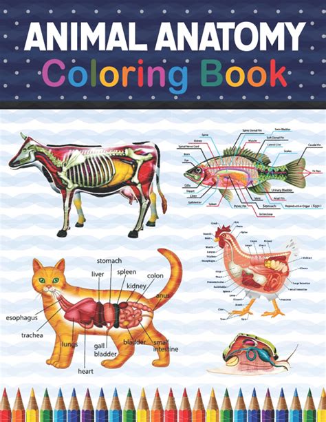 Animal Anatomy Coloring Book Animals Physiology Self Quiz Color